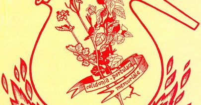 Heilpflanzenkurs Kopie