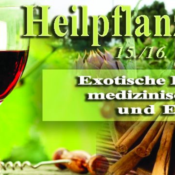 INTERNET SITO November Heilpflanzen