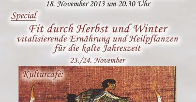 Vorträge im November 2013