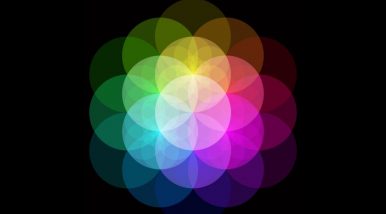 Mensch und Universum in der kabbalistischen Tradition